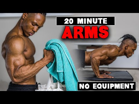 20 MINUTE ARMS WORKOUT (NO EQUIPMENT) | BICEPS, TRICEPS, &amp; SHOULDERS | FOR BEGINNERS ALSO!