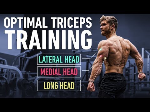 How To Build Huge Triceps with Optimal Training Technique