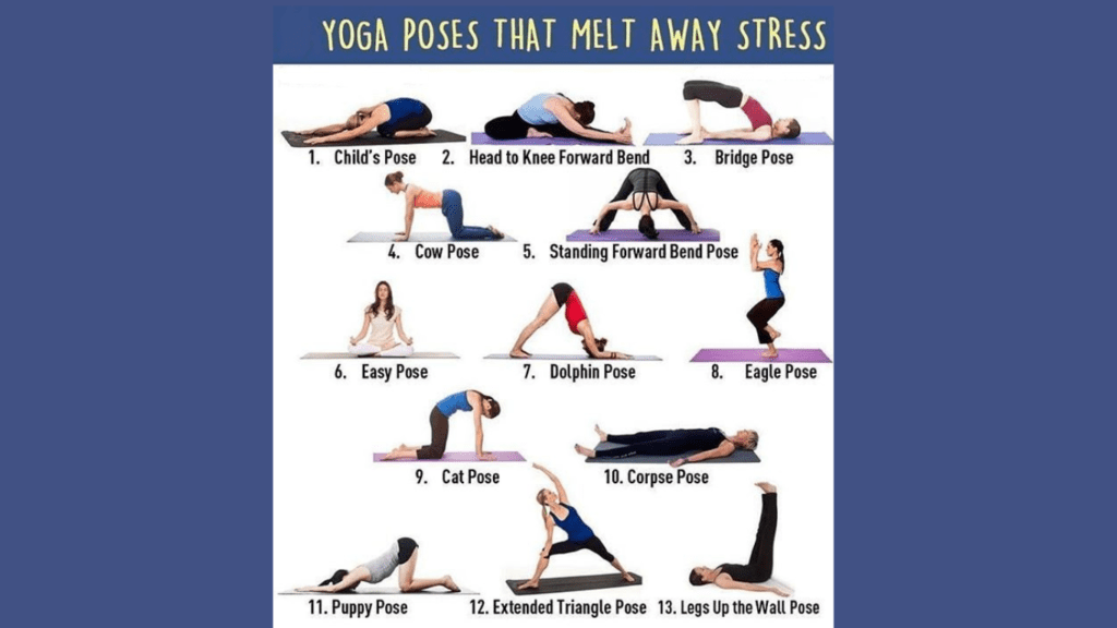 Different Relaxing Yoga Poses 