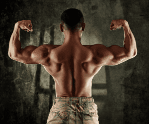 a bodybuilder from behind showing back