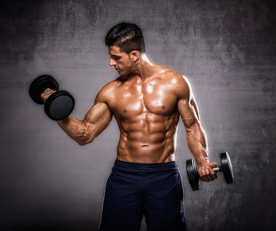 a bodybuilder working out for biceps with dumbbells 