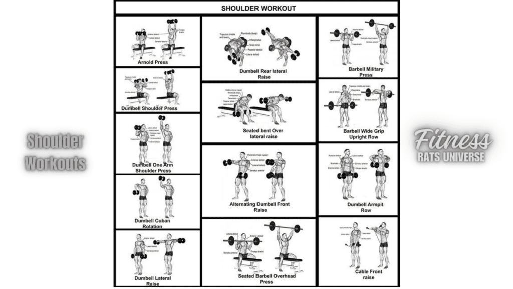 Chart with different shoulder workouts showing the exercises