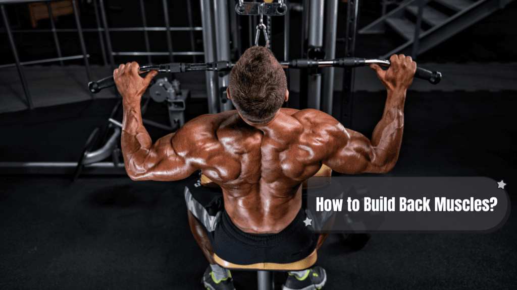 a bodybuilder working out for back and a sign:How to Build Back Muscles?