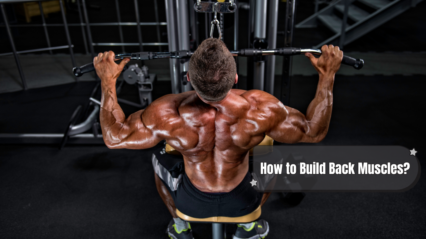 a bodybuilder working out for back and a sign:How to Build Back Muscles?