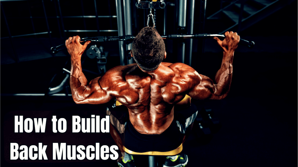 a bodybuilder working out for back and a sign:How to Build Back Muscles?