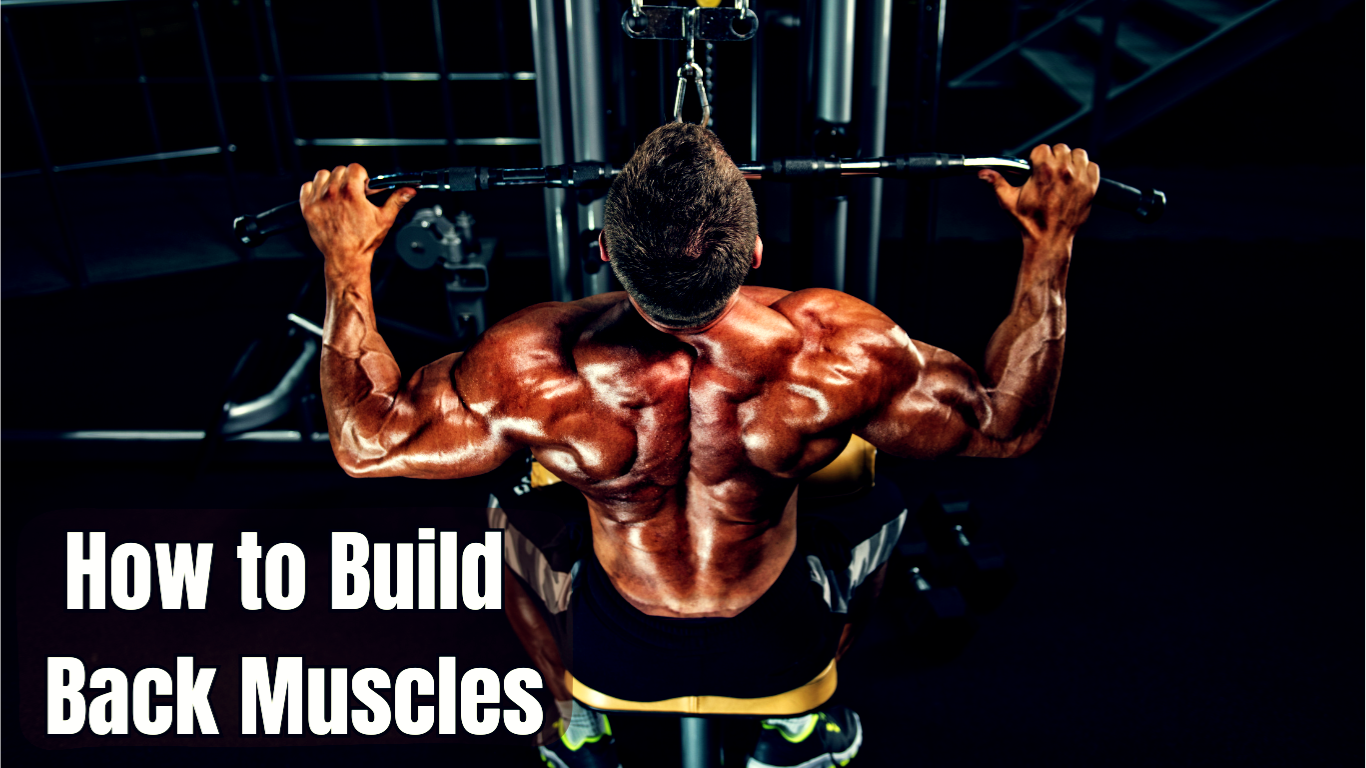 a bodybuilder working out for back and a sign:How to Build Back Muscles?