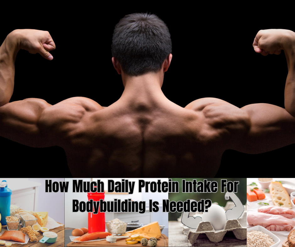 a bodybuilder and different protein foods and a question:How Much Daily Protein Intake For Bodybuilding Is Needed?