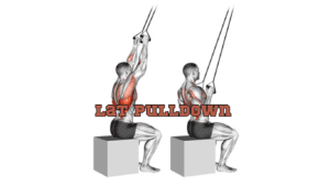 A chart showing how Lat Pulldown with resistance bands is performed