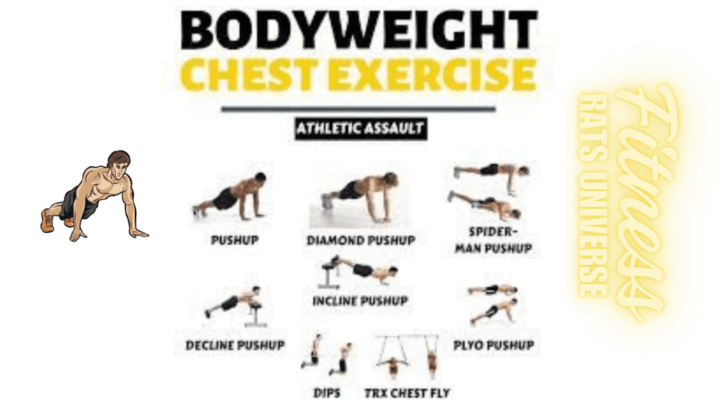 Bodyweight Chest Exercises Chart of Fitness Rats Universe