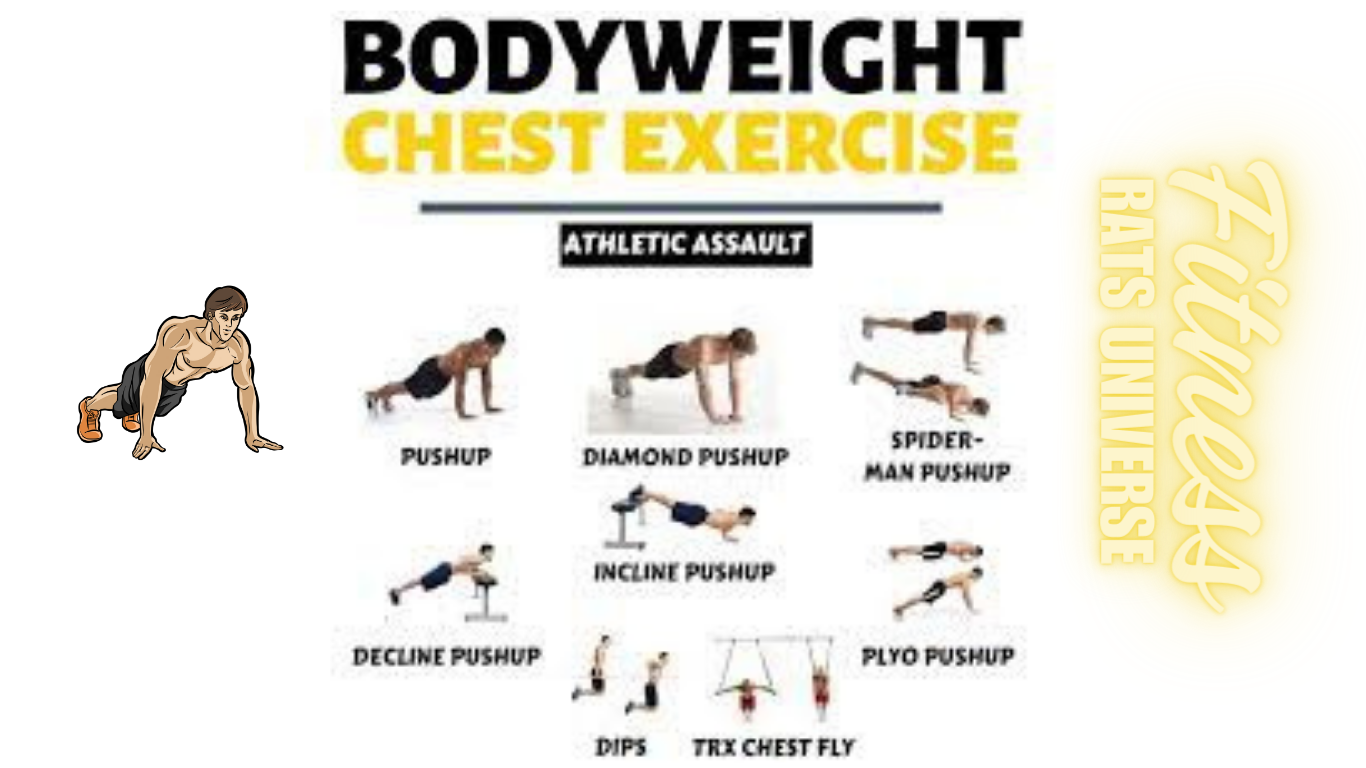 Bodyweight Chest Exercises Chart of Fitness Rats Universe