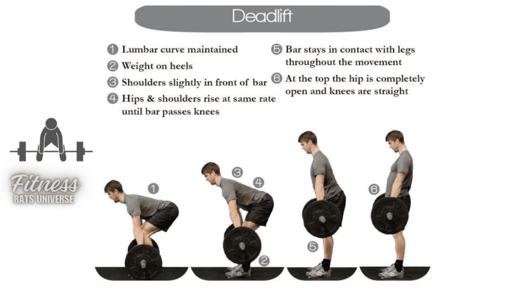 perfect deadlift technique step by step chart