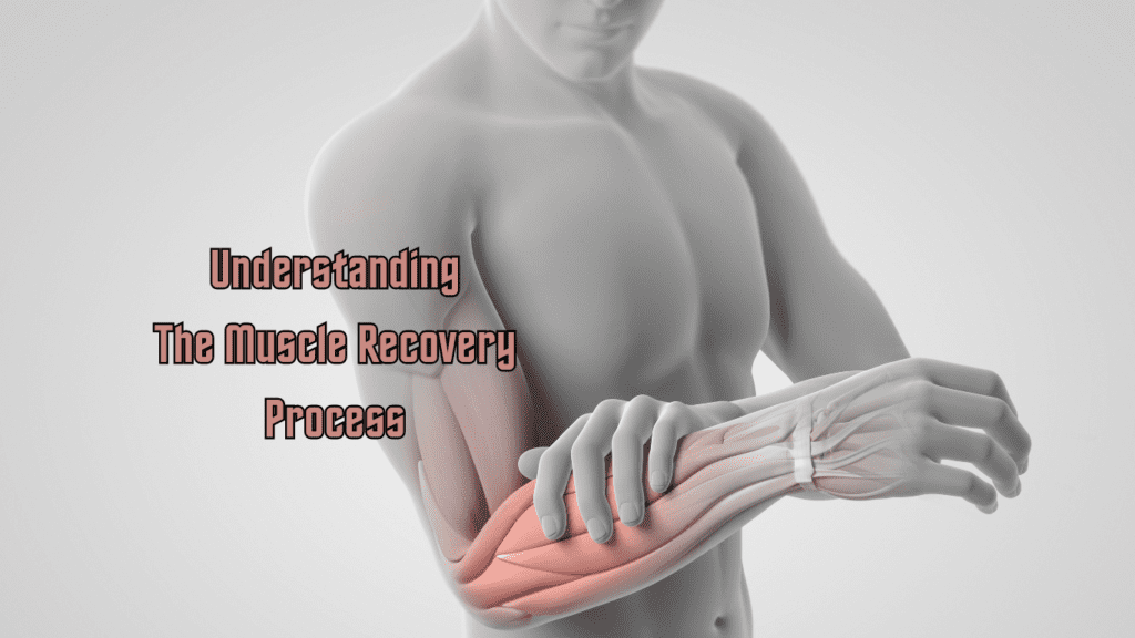 the muscles of the body and a sign : Understanding the muscle recovery process 