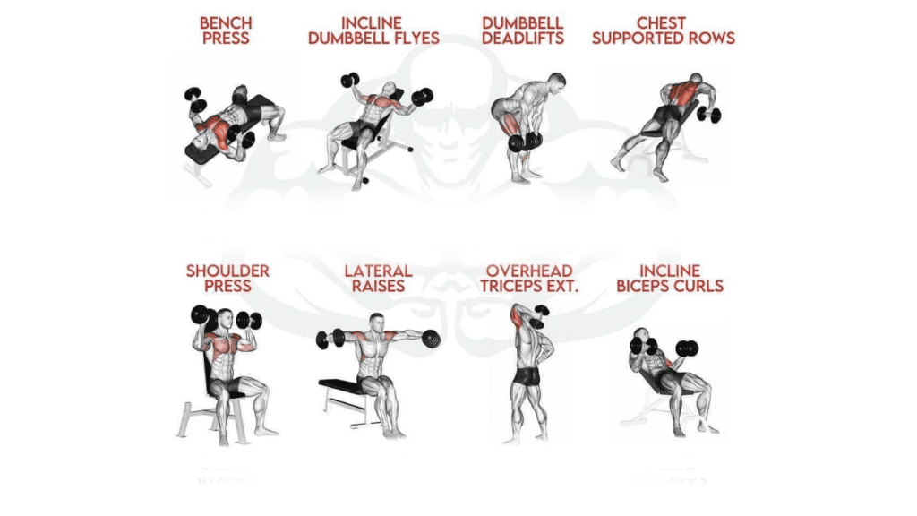 Upper Body Dumbbell Workout Exercises