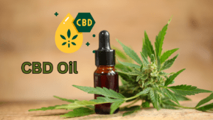 CBD Oil Herb Photo