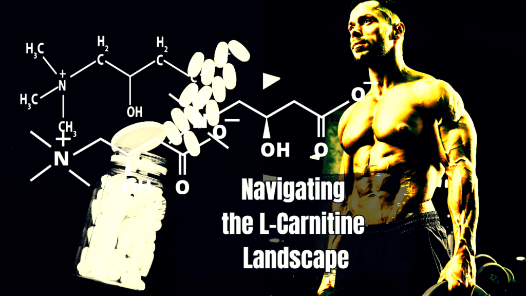 A Bodybuilder and Pills and a sign:Navigating the L-Carnitine Landscape