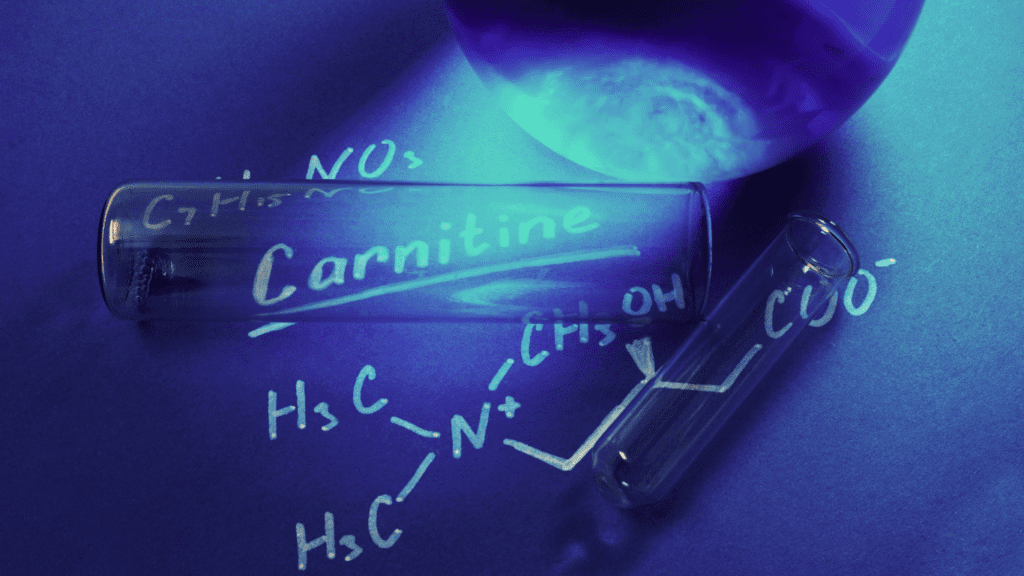 A Photo Showing The Chemical Formula of L carnitine