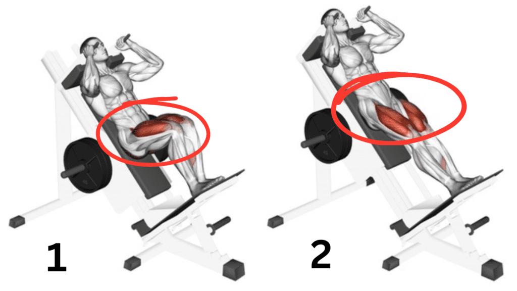 How to do hack squat in 2 pictures