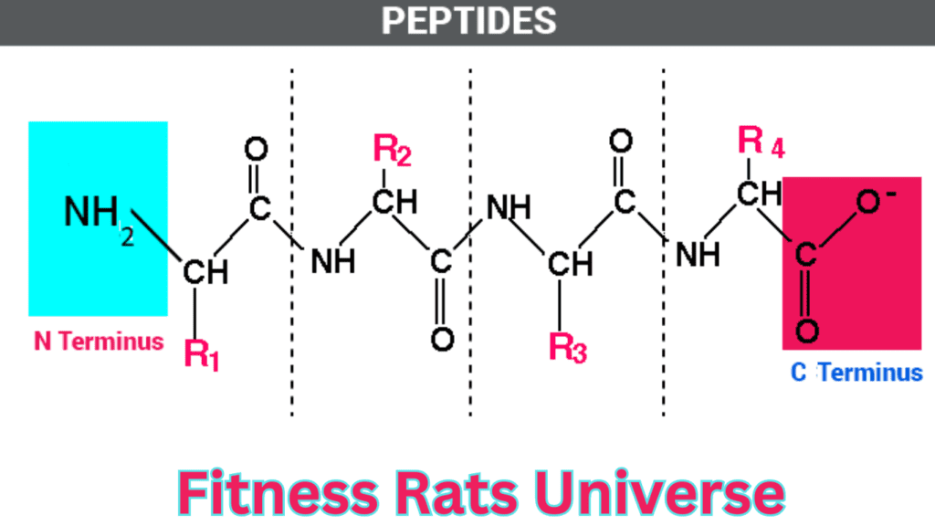 The Chemical Chart Of Peptides 