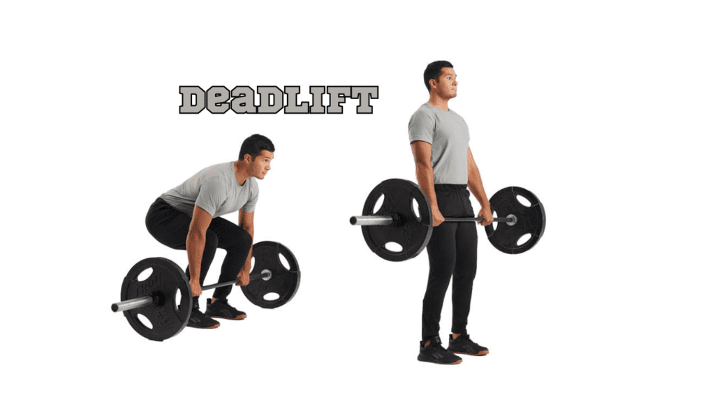  Deadlift Performance