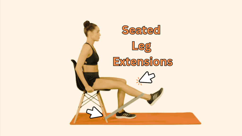 Seated Leg Extensions performed by a woman 