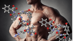 a photo of a bodybuilder and a peptides amino chain 