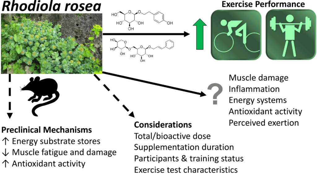 A picture showing the different benefits of the plant