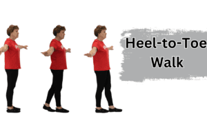 Heel-to-Toe WalkLeg Strengthening Exercise for Seniors  Guide