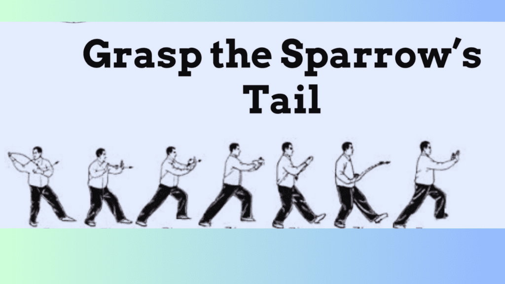 Grasp the Sparrow's Tail Cartoon Performance