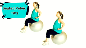 Seated Pelvic Tilts Exercise for Women That Is Pregnant 