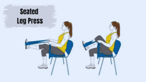 Seated Leg Press Chair Exercise With Resistance Bands 