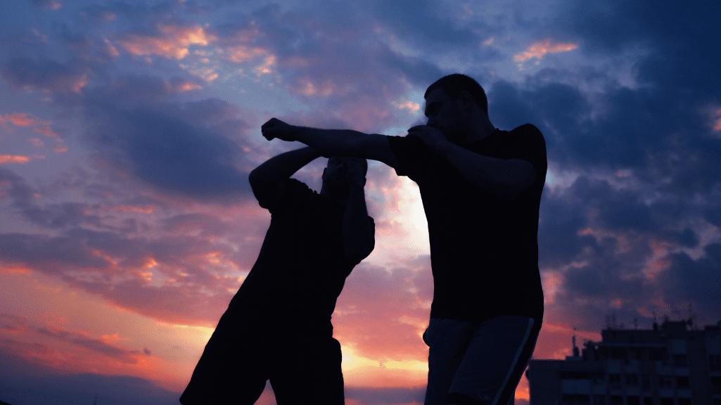 Krav Maga: 2 People Fighting