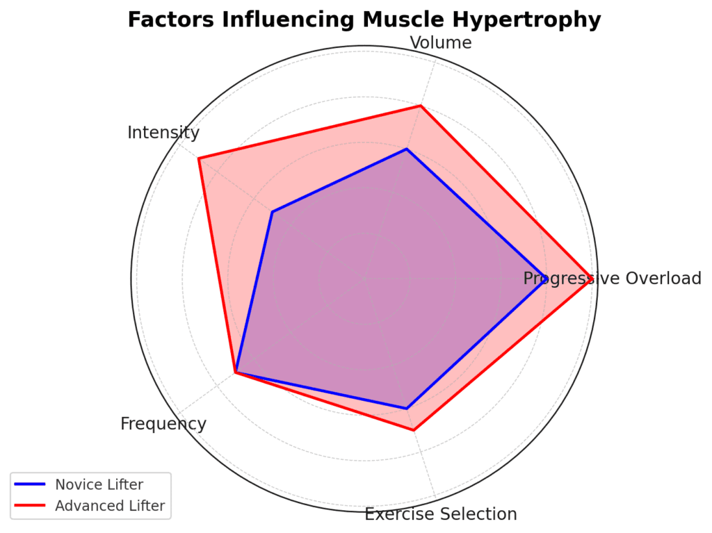 A Chart Showing The Factors Effecting Muscle Hypertrophy 