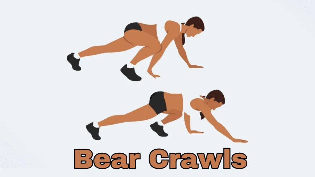 Bear Crawls Exercise Photo: Functional Mobility Exercises 