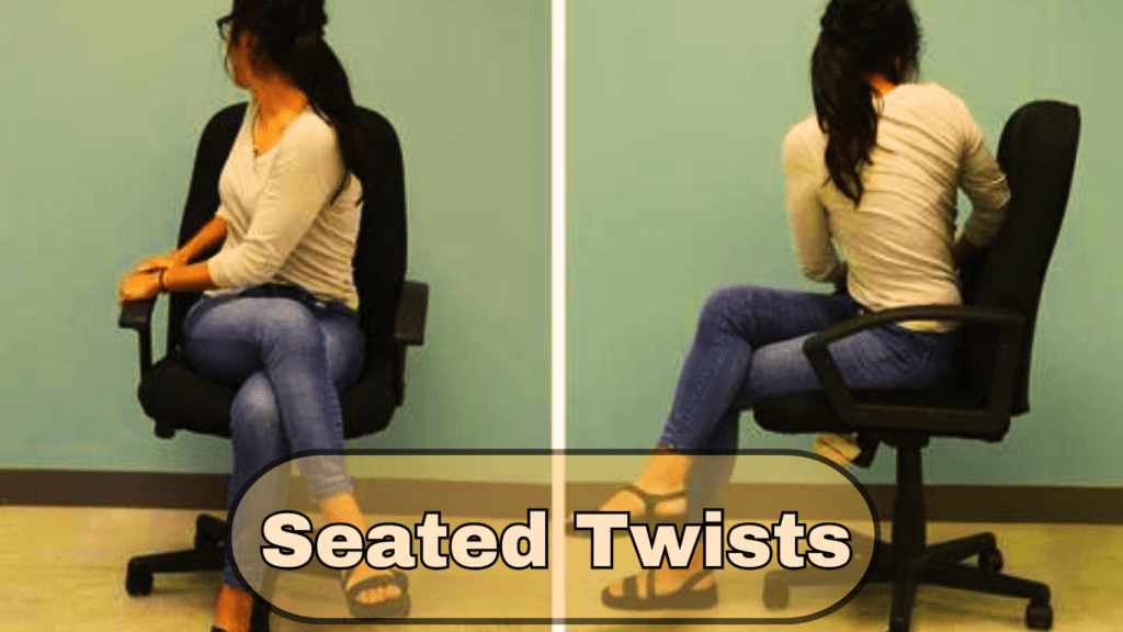 Seated Twists Exercise Photo