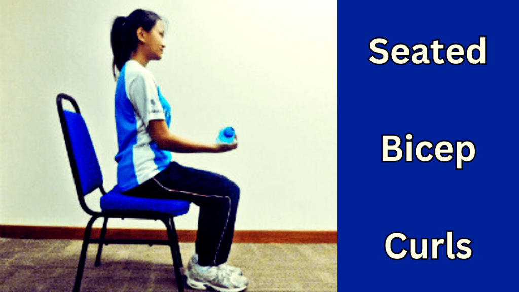 Seated Bicep Curls Exercise Photo