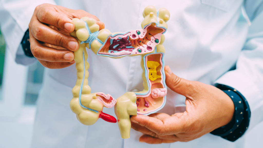 A Doctor Showing The Anatomy Of The Gut 