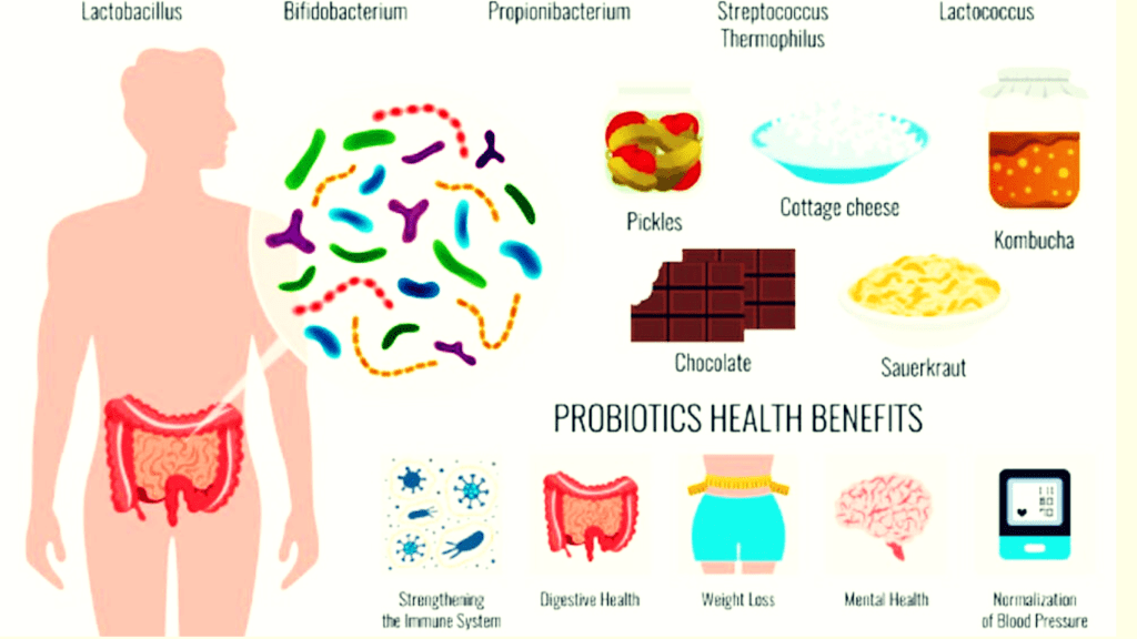 A diagram Explaining Probiotics for gut health