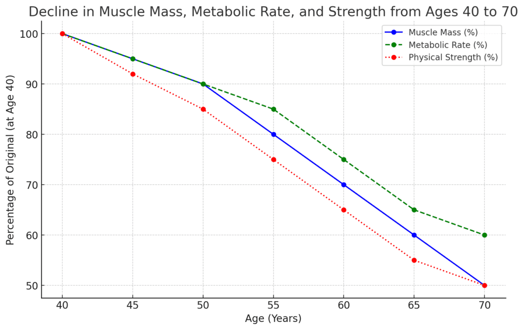 Impact of Aging on Muscle Mass, Metabolic Rate, and Physical Strength (Ages 40-70)