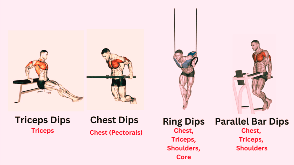 4 Variations Of Dips 