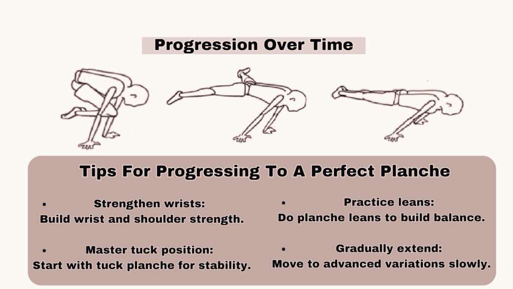 tips for progressing to a perfect Planche guide 