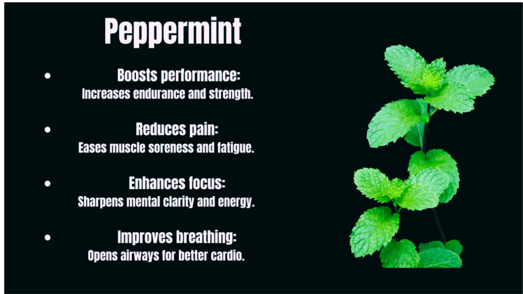 Peppermint Benefits For Fitness