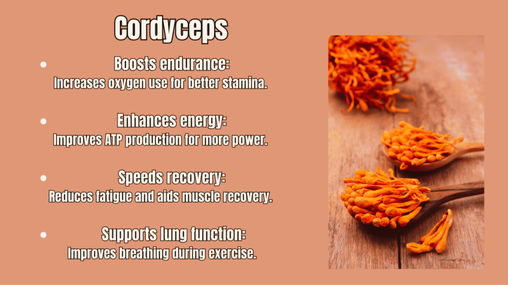 Cordyceps Fitness Benefits