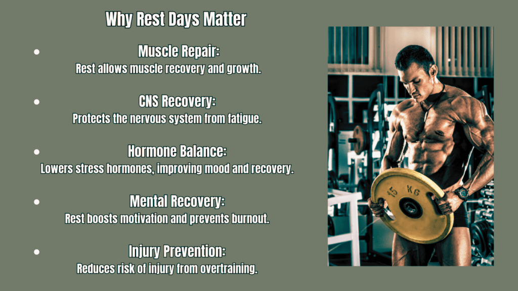 A bodybuilder and key points on the topic :Why Rest Days Matter