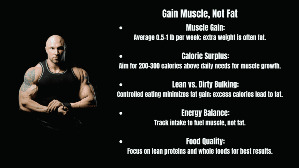 How to Bulk Up Without Gaining Fat Bullet Points Photo