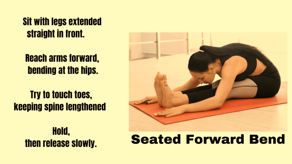 Seated Forward Bend Exercise Explanation Photo