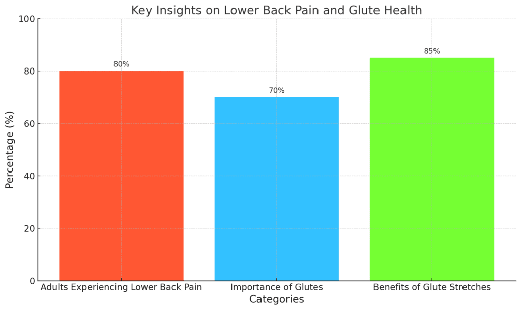 Glute Stretches for Lower Back Pain: Key Insights on Lower Back Pain and Glute Health Chart and explanation