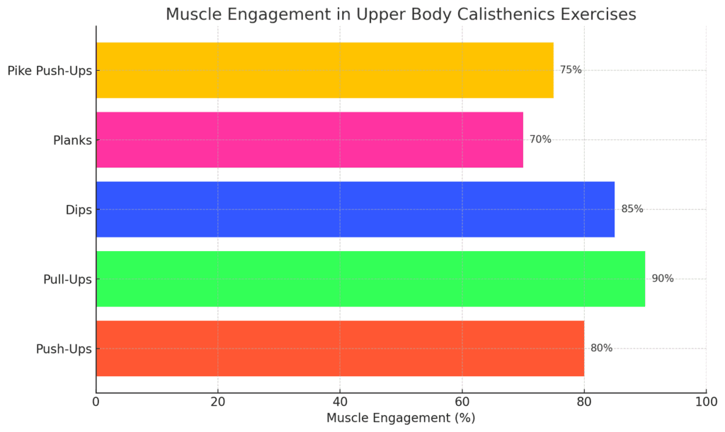 Muscle Engagement in Upper Body Calisthenics Exercises Chart Photo