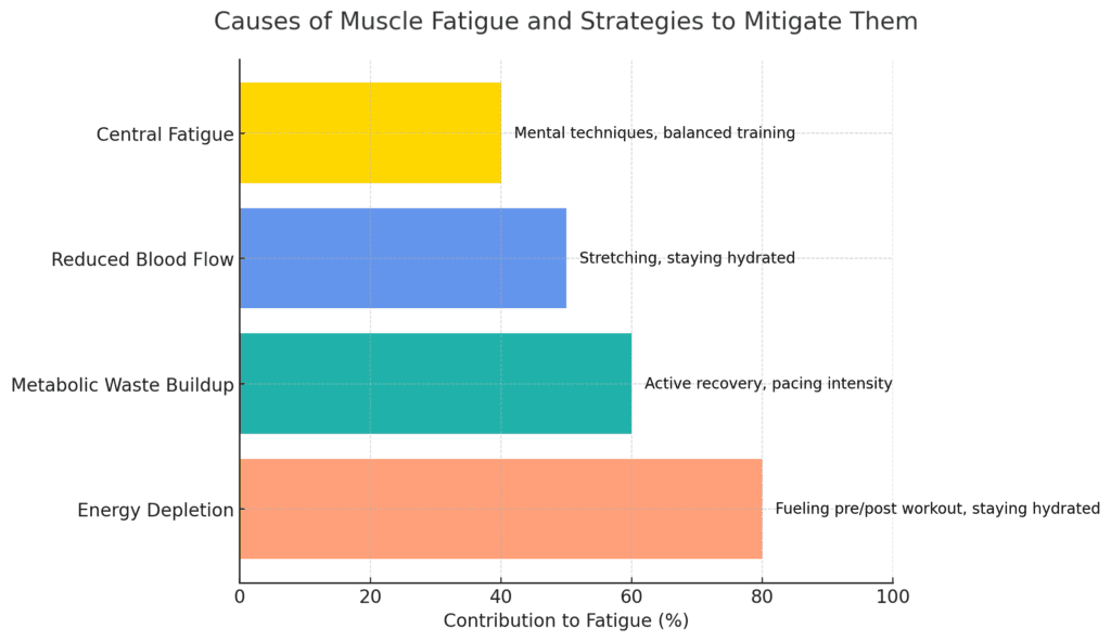 Causes of Muscle Fatigue and Strategies to Mitigate Them Chart Photo