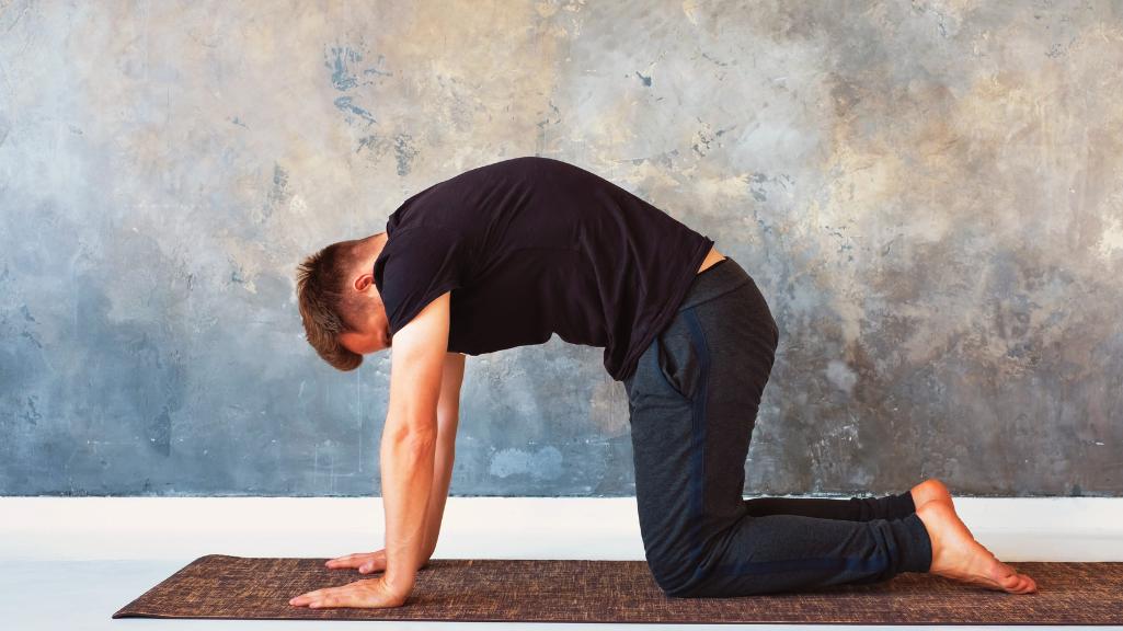 Cat Pose as One Of Yoga Poses for Back Pain and Neck